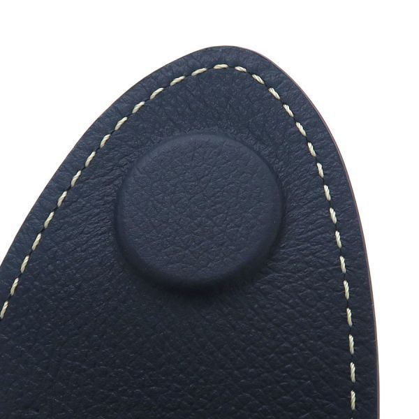goyard handbag condition details