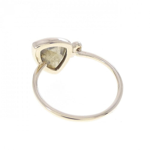 ring rear view