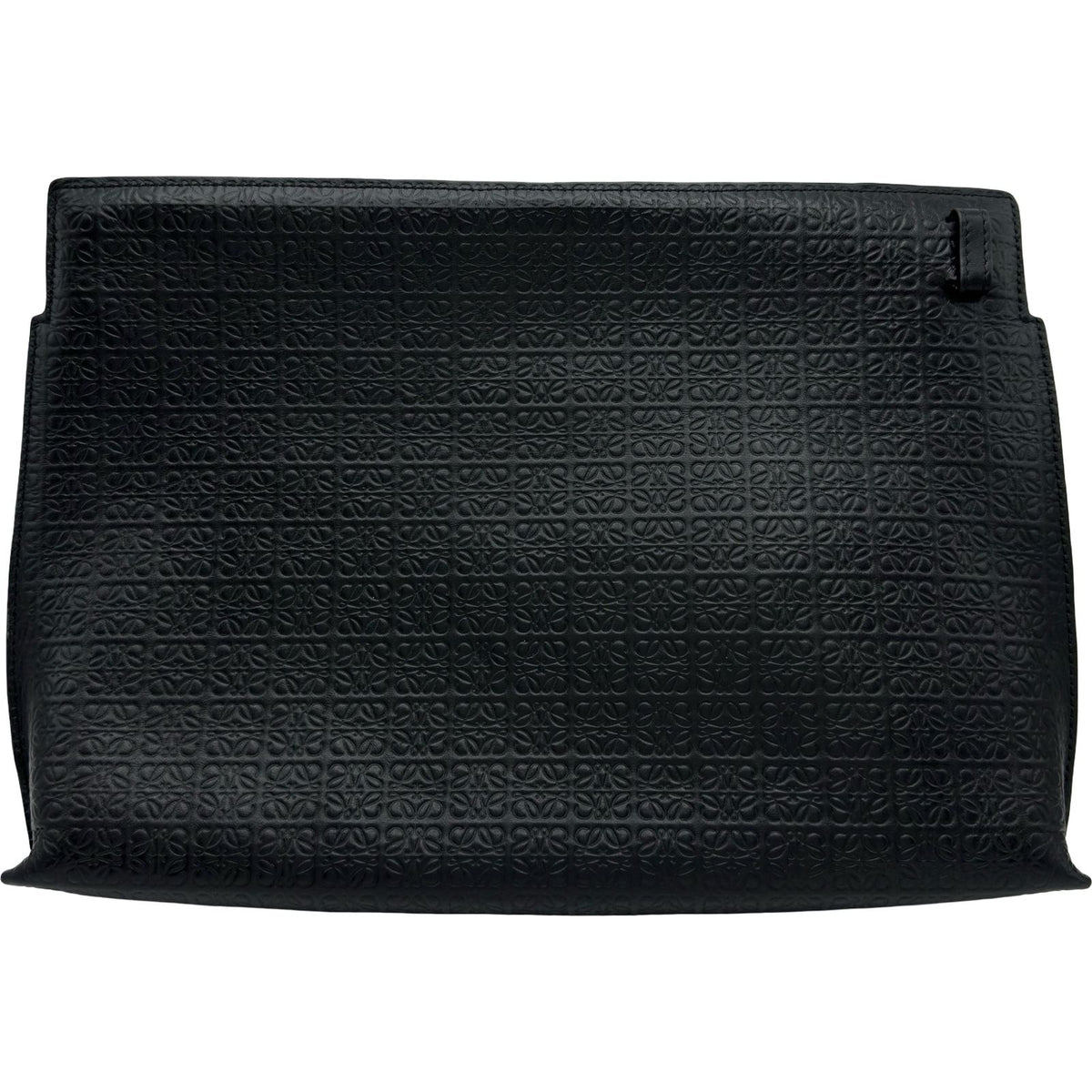 loewe shoulder bag rear view
