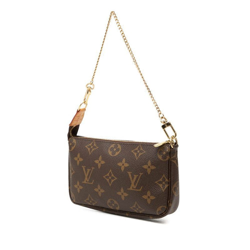 louis vuitton pouch / clutch front view
