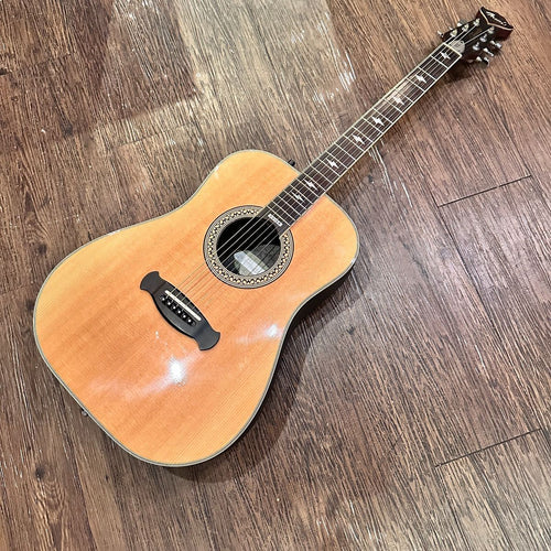 acoustic guitar