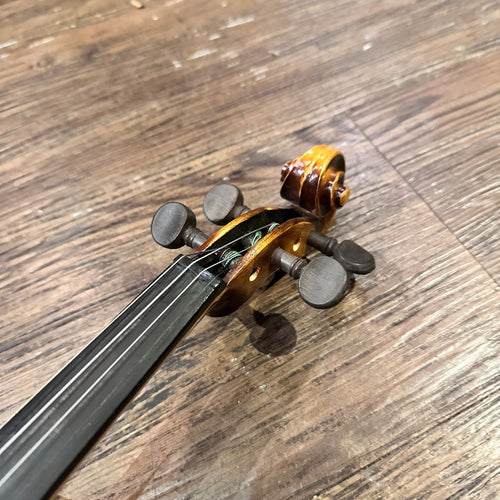 suzuki string instrument side view