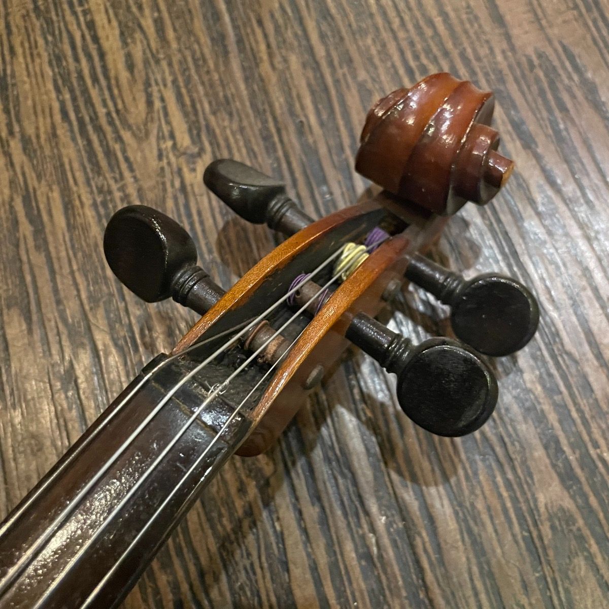 suzuki grunsound-z246 string instrument side view
