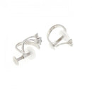 earrings rear view