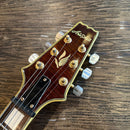 aria electric guitar accessories included