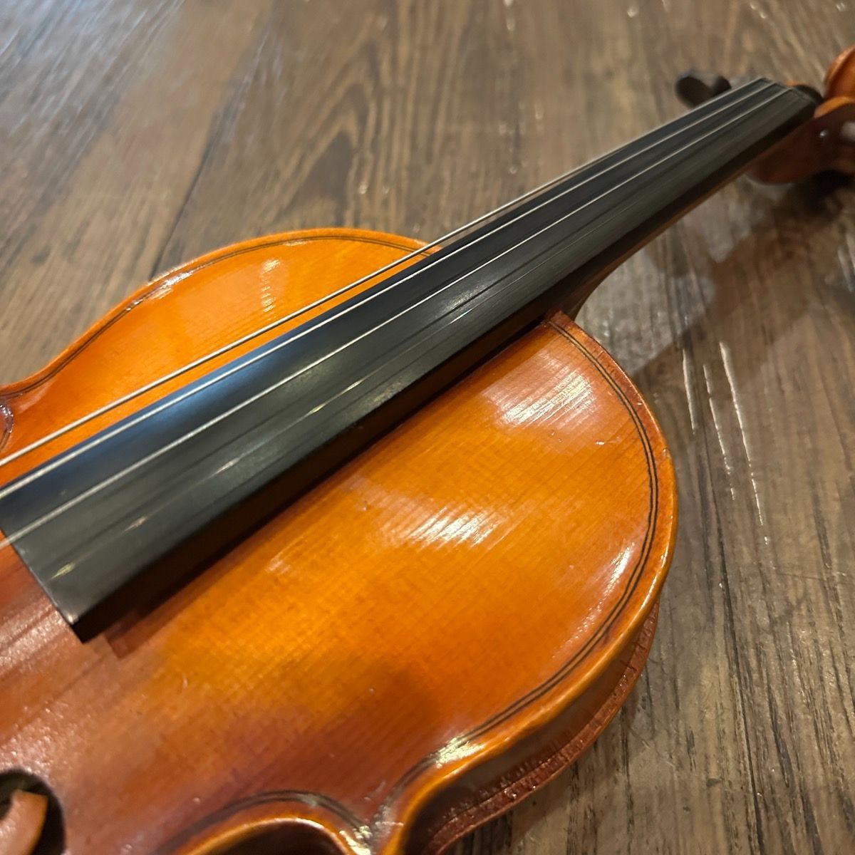 suzuki string instrument rear view