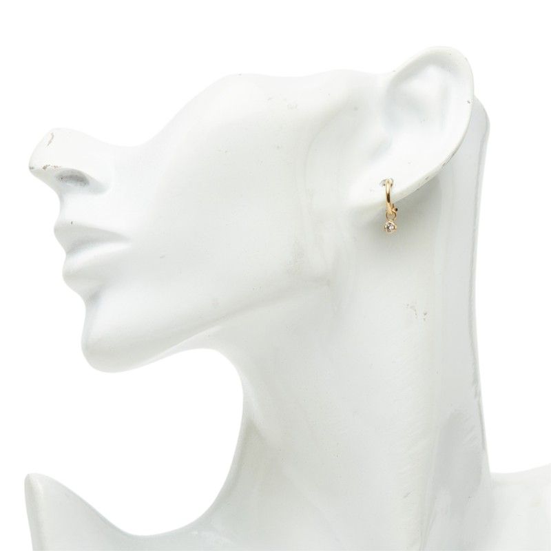 その他セレクト earrings condition details