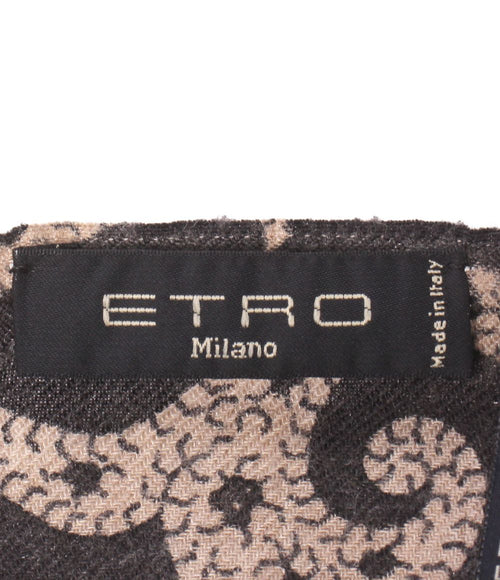 etro scarf rear view