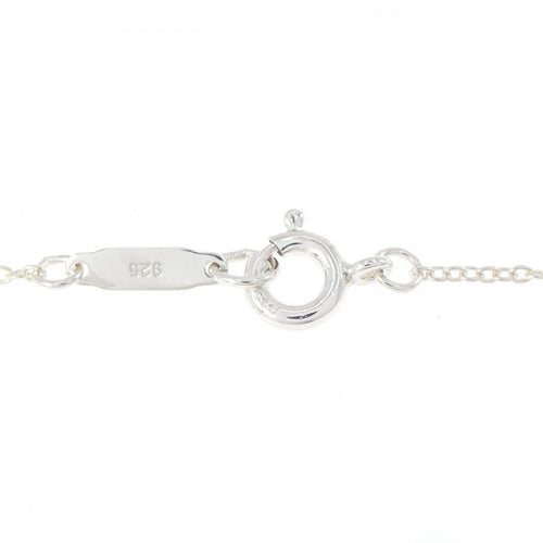 tiffany necklace accessories included