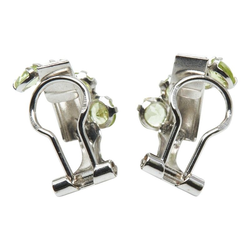 その他セレクト Earrings