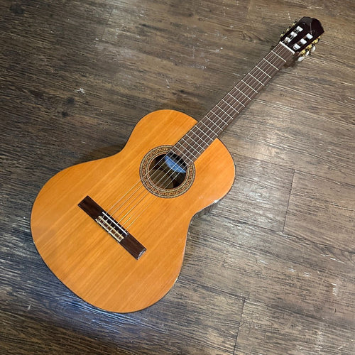 acoustic guitar