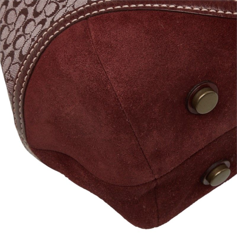 coach pink handbag accessories included