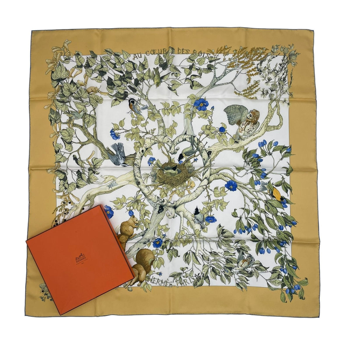 Hermes Scarf