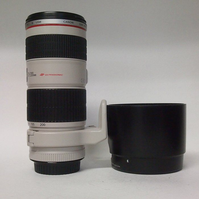 canon ef70-200/4l camera interior details