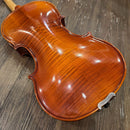 string instrument interior details