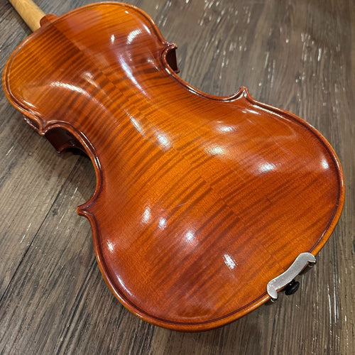 string instrument interior details