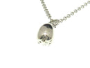 tiffany nc/sv/2.0g necklace accessories included