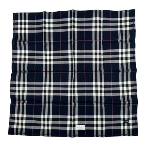 burberry navy scarf front view