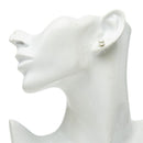 その他セレクト earrings condition details
