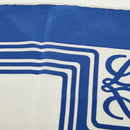 loewe scarf rear view