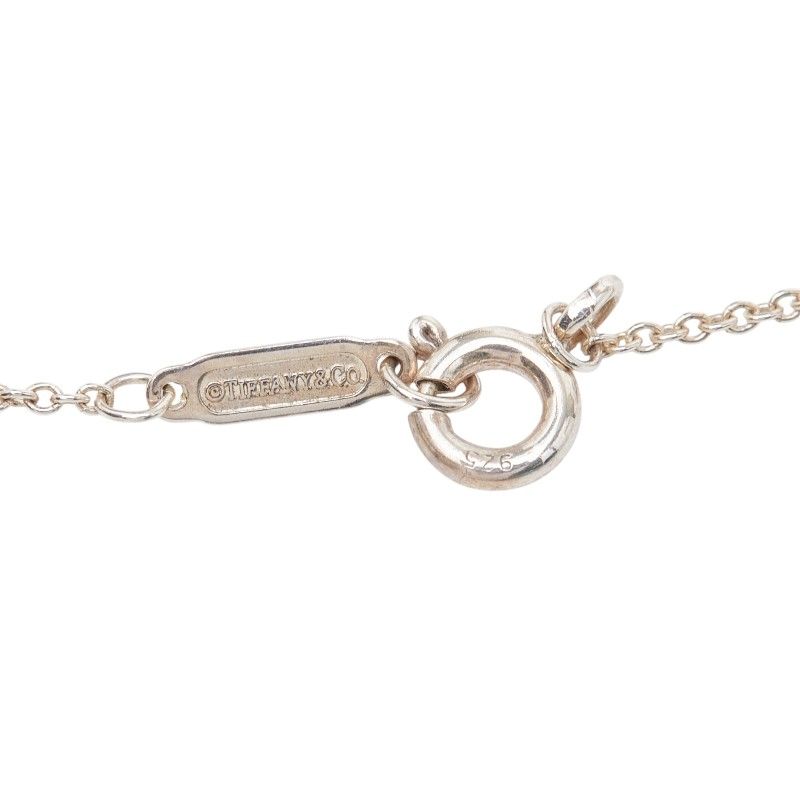 tiffany necklace accessories included