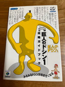 nintendo guidebook