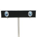 earrings front view
