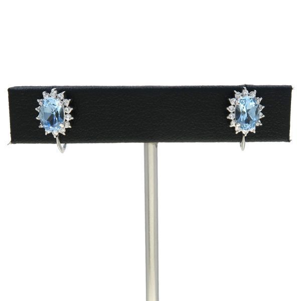 earrings front view