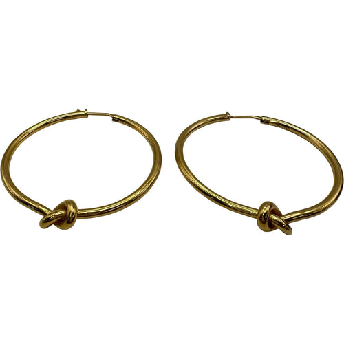 celine earrings condition details