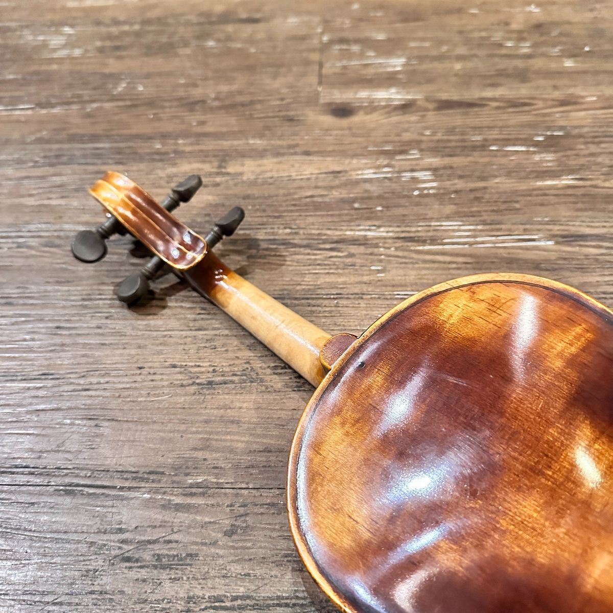 suzuki string instrument condition details