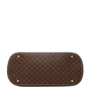 celine handbag rear view