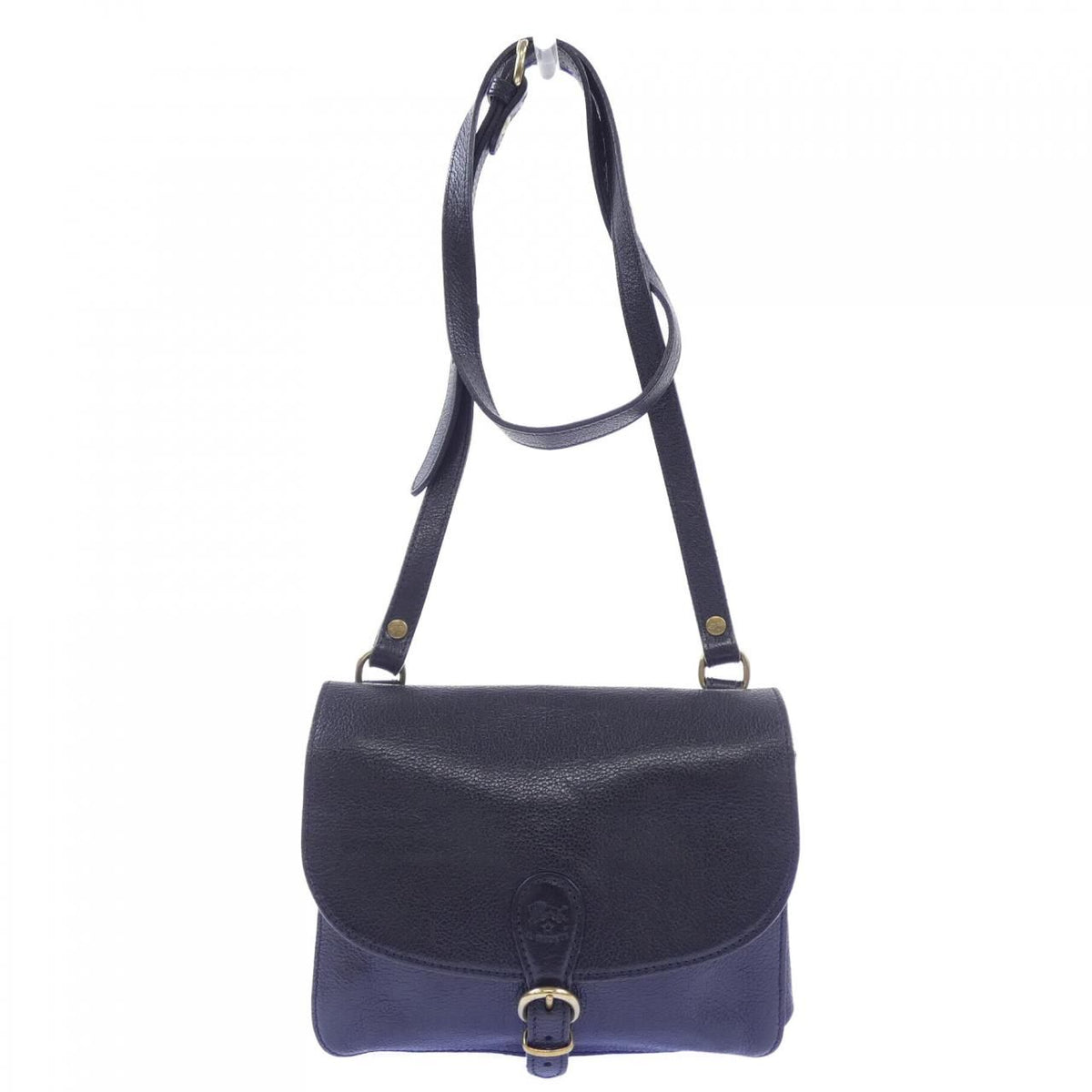 Ilbisonte Handbag