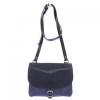 Ilbisonte Handbag