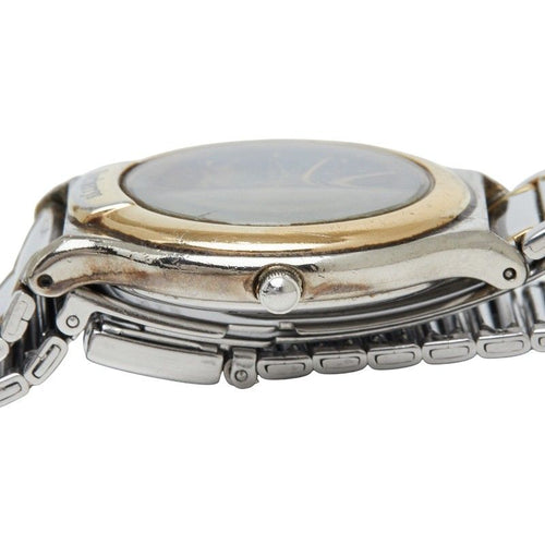 burberry 6031-g03600 watch accessories included