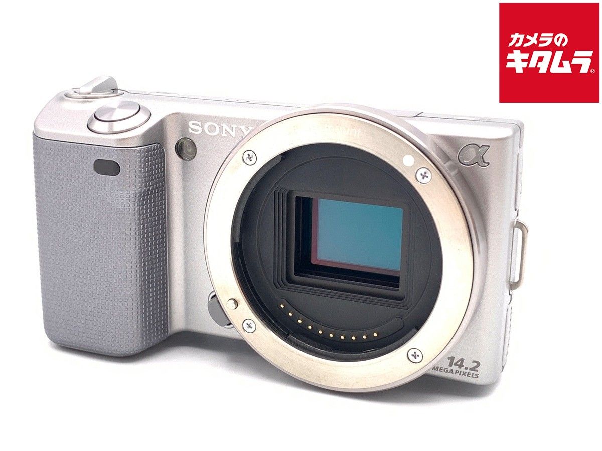 Sony NEX-5 Mirrorless Camera