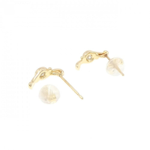 earrings rear view