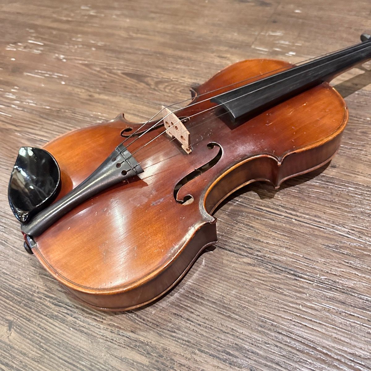 Suzuki String Instrument