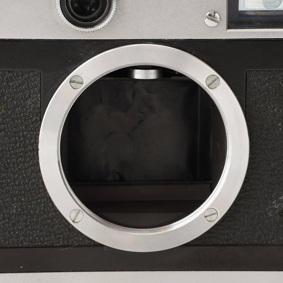 canon camera markings and labels