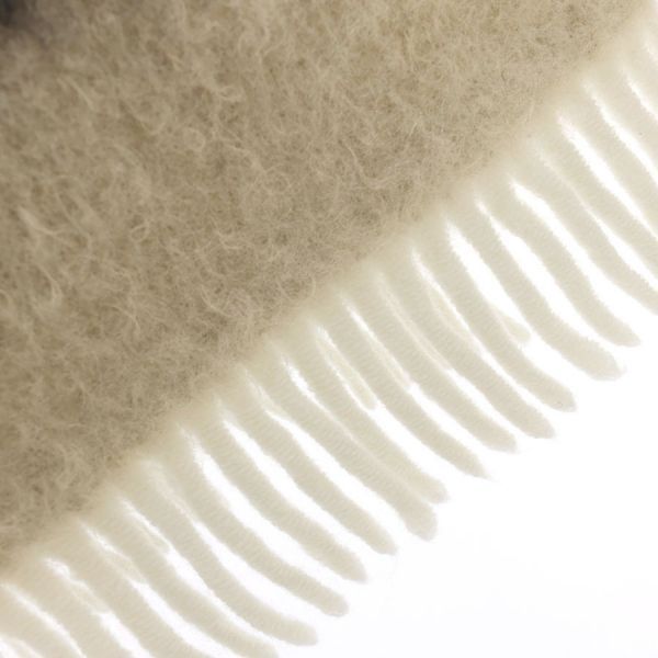loewe scarf condition details
