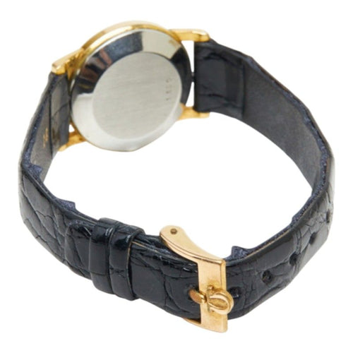 omega watch accessories included