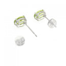 earrings rear view