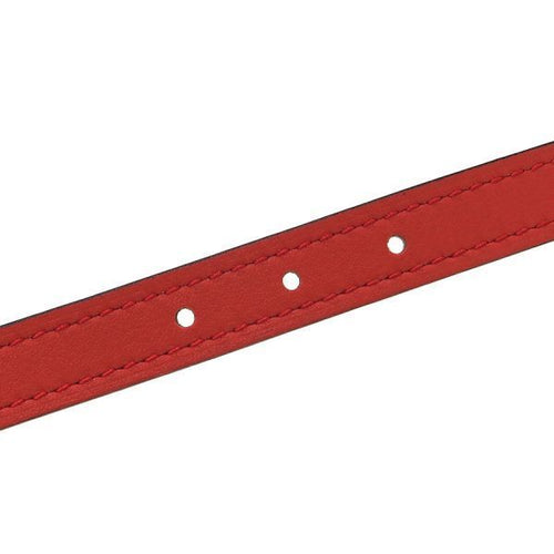 hermes belt accessories included