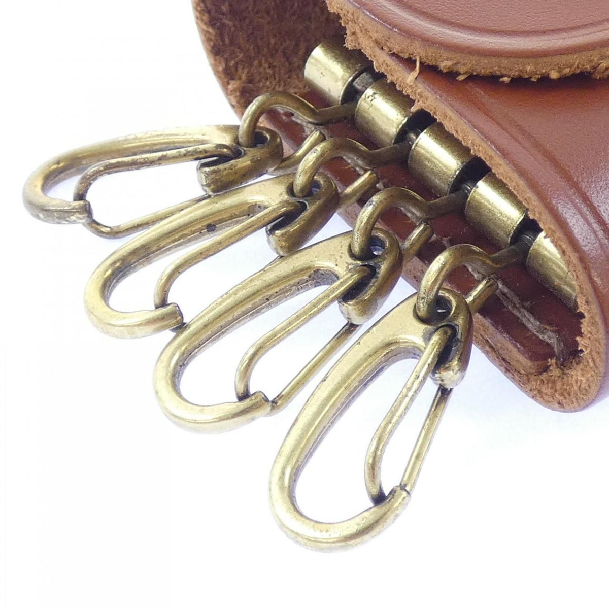 Ilbisonte Key Case
