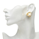 givenchy earrings accessories included
