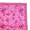 louis vuitton scarf accessories included