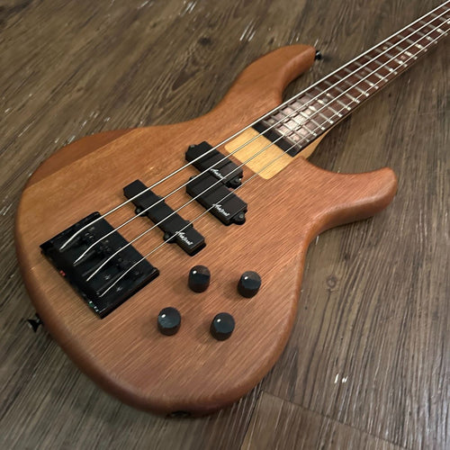 aria igb-50-n bass guitar rear view