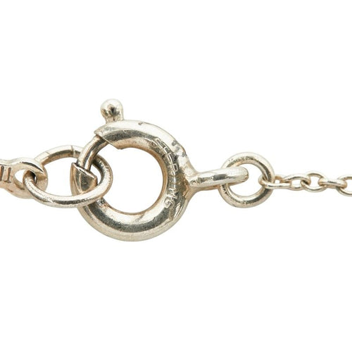 tiffany necklace accessories included