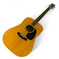 JD250 Acoustic Guitar