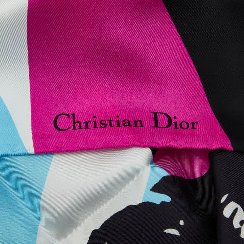 dior scarf rear view
