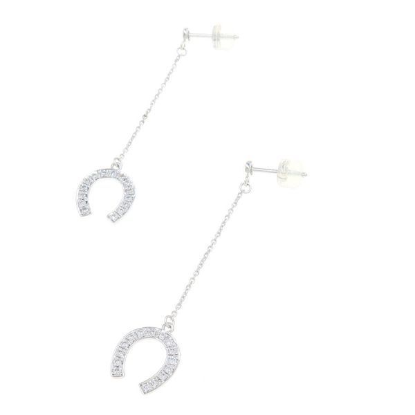 earrings rear view